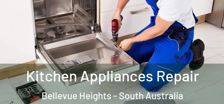 Kitchen Appliances Repair Bellevue Heights - South Australia