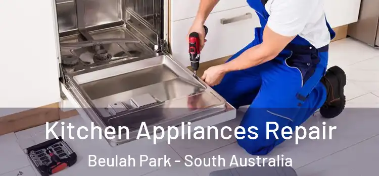 Kitchen Appliances Repair Beulah Park - South Australia
