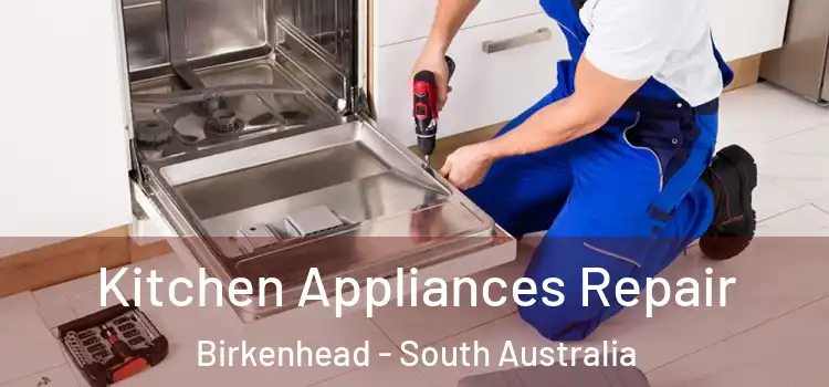 Kitchen Appliances Repair Birkenhead - South Australia
