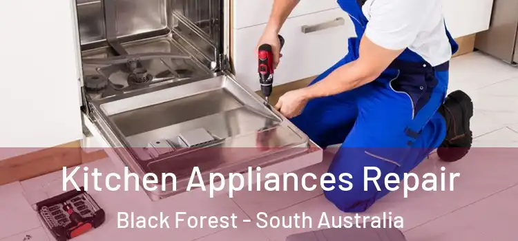 Kitchen Appliances Repair Black Forest - South Australia