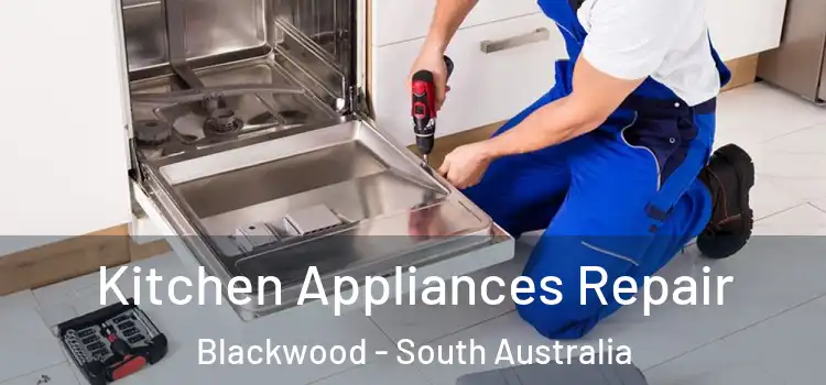 Kitchen Appliances Repair Blackwood - South Australia