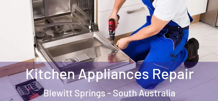 Kitchen Appliances Repair Blewitt Springs - South Australia