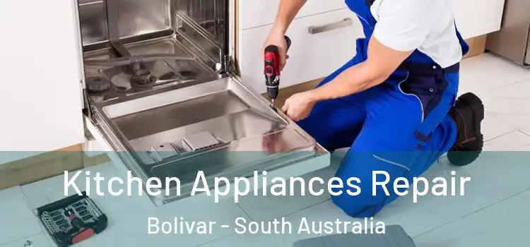 Kitchen Appliances Repair Bolivar - South Australia