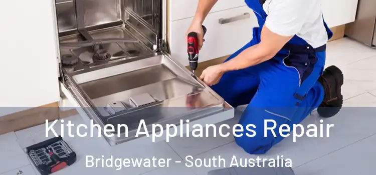 Kitchen Appliances Repair Bridgewater - South Australia