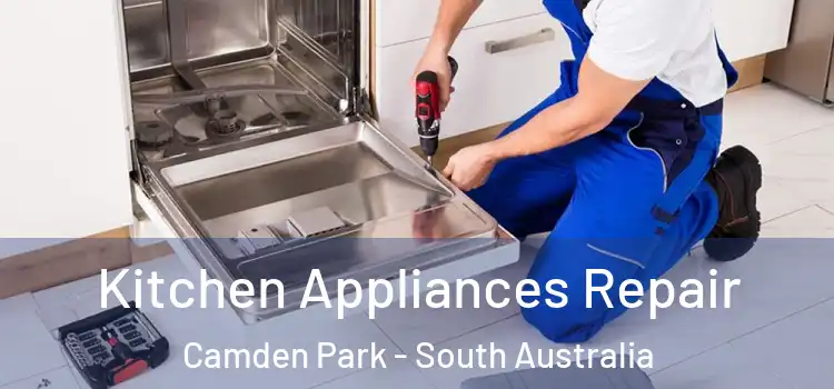 Kitchen Appliances Repair Camden Park - South Australia