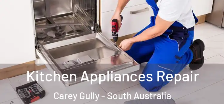 Kitchen Appliances Repair Carey Gully - South Australia