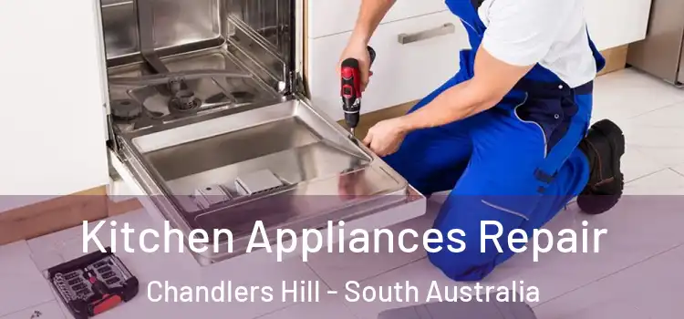 Kitchen Appliances Repair Chandlers Hill - South Australia