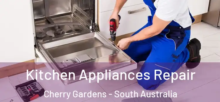 Kitchen Appliances Repair Cherry Gardens - South Australia