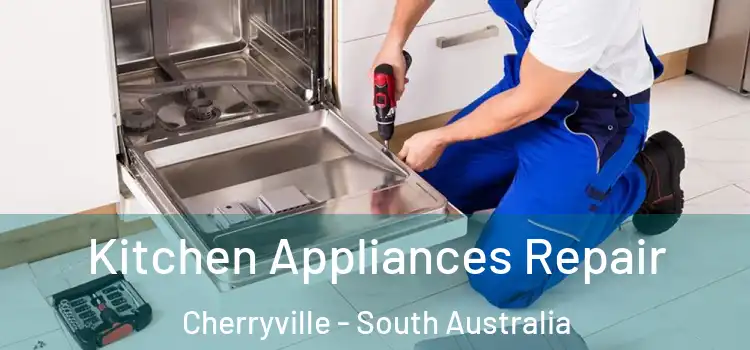 Kitchen Appliances Repair Cherryville - South Australia