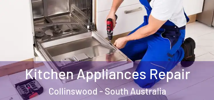 Kitchen Appliances Repair Collinswood - South Australia