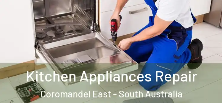 Kitchen Appliances Repair Coromandel East - South Australia