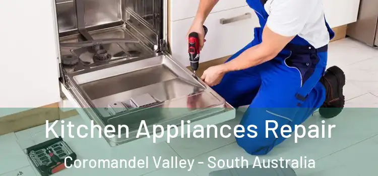 Kitchen Appliances Repair Coromandel Valley - South Australia