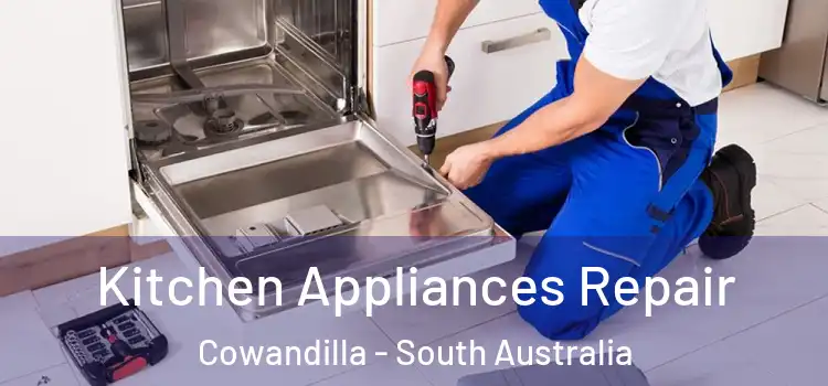 Kitchen Appliances Repair Cowandilla - South Australia