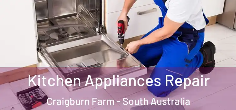 Kitchen Appliances Repair Craigburn Farm - South Australia