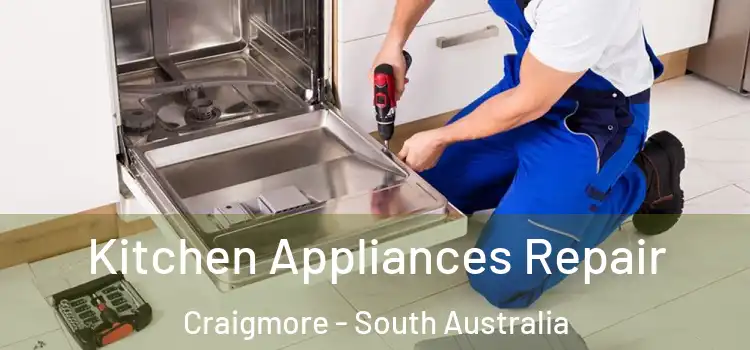 Kitchen Appliances Repair Craigmore - South Australia