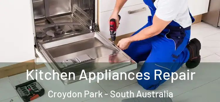 Kitchen Appliances Repair Croydon Park - South Australia