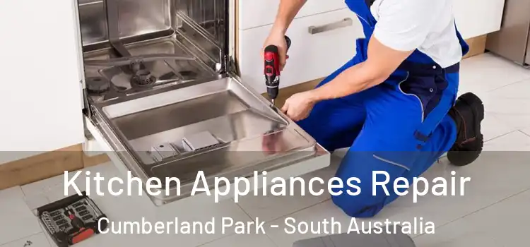 Kitchen Appliances Repair Cumberland Park - South Australia