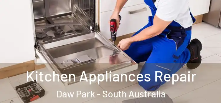 Kitchen Appliances Repair Daw Park - South Australia