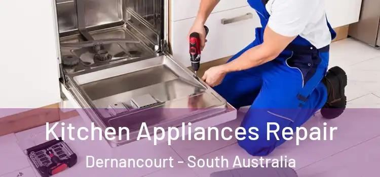 Kitchen Appliances Repair Dernancourt - South Australia