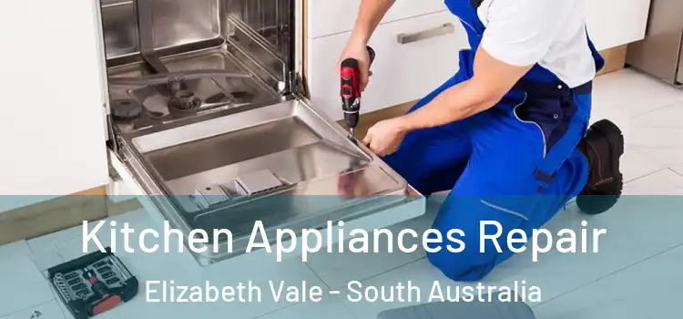 Kitchen Appliances Repair Elizabeth Vale - South Australia