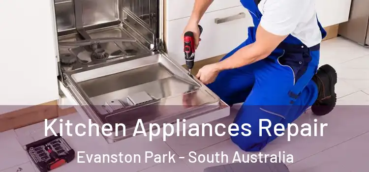 Kitchen Appliances Repair Evanston Park - South Australia
