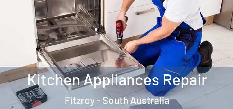 Kitchen Appliances Repair Fitzroy - South Australia
