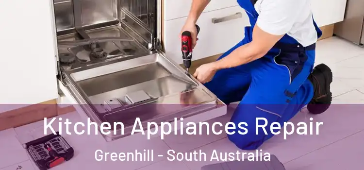 Kitchen Appliances Repair Greenhill - South Australia