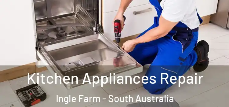 Kitchen Appliances Repair Ingle Farm - South Australia