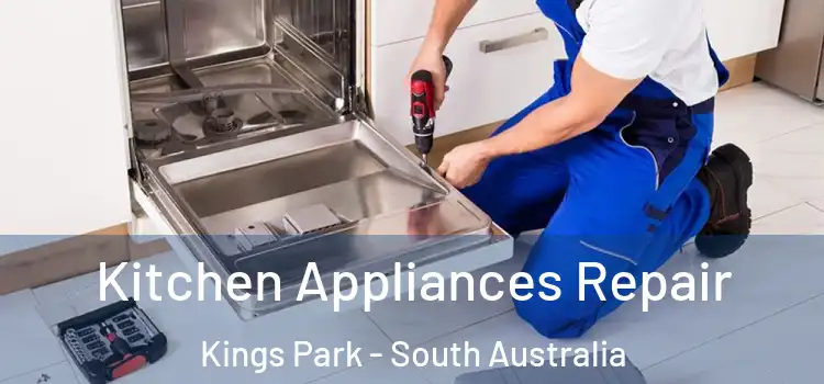 Kitchen Appliances Repair Kings Park - South Australia