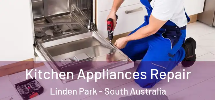 Kitchen Appliances Repair Linden Park - South Australia