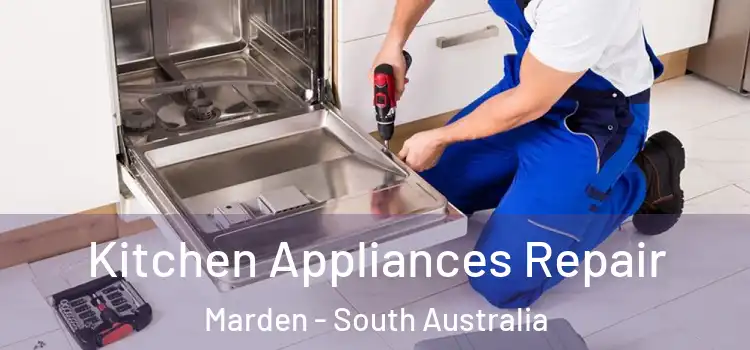 Kitchen Appliances Repair Marden - South Australia