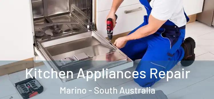Kitchen Appliances Repair Marino - South Australia