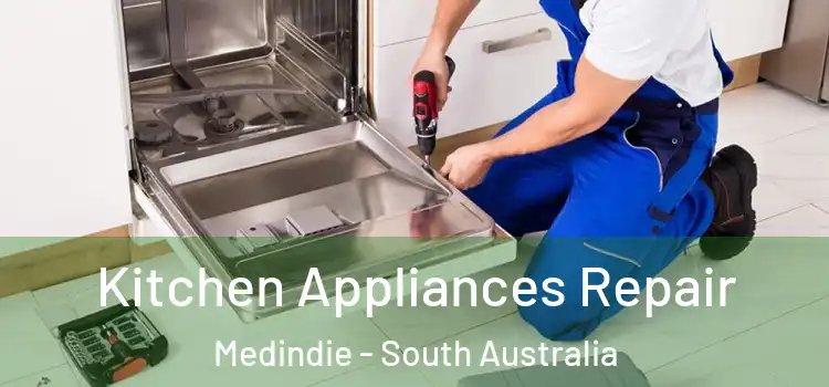 Kitchen Appliances Repair Medindie - South Australia