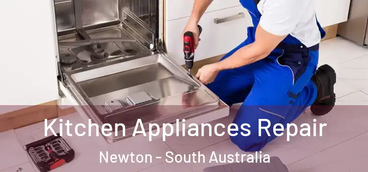 Kitchen Appliances Repair Newton - South Australia