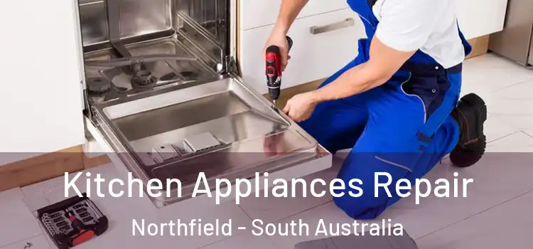 Kitchen Appliances Repair Northfield - South Australia
