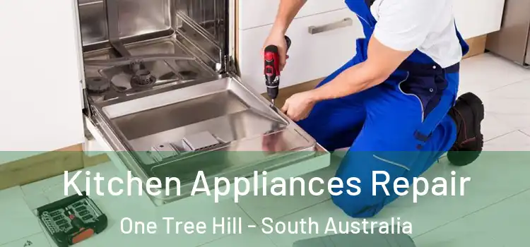 Kitchen Appliances Repair One Tree Hill - South Australia