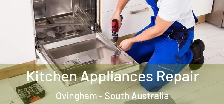 Kitchen Appliances Repair Ovingham - South Australia