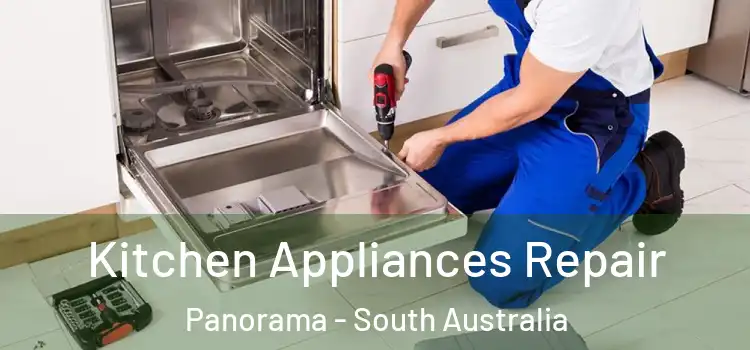 Kitchen Appliances Repair Panorama - South Australia
