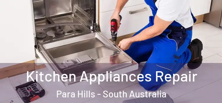 Kitchen Appliances Repair Para Hills - South Australia