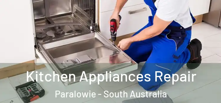 Kitchen Appliances Repair Paralowie - South Australia