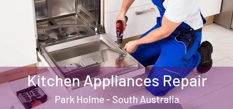 Kitchen Appliances Repair Park Holme - South Australia