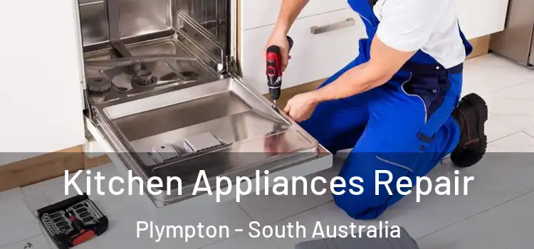 Kitchen Appliances Repair Plympton - South Australia