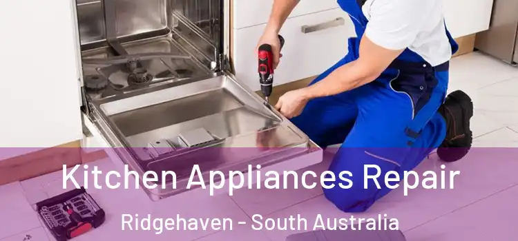 Kitchen Appliances Repair Ridgehaven - South Australia