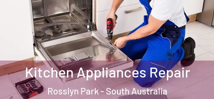 Kitchen Appliances Repair Rosslyn Park - South Australia