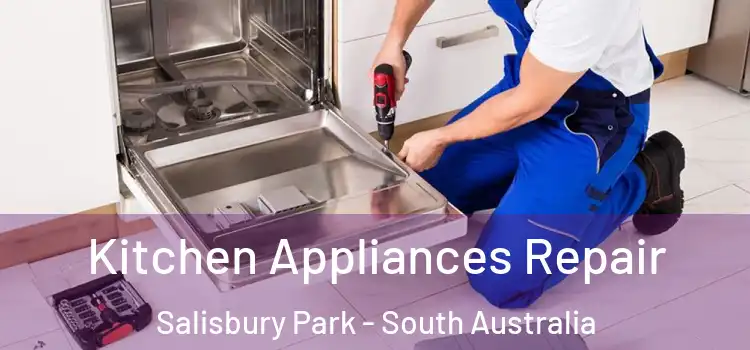 Kitchen Appliances Repair Salisbury Park - South Australia