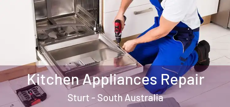 Kitchen Appliances Repair Sturt - South Australia