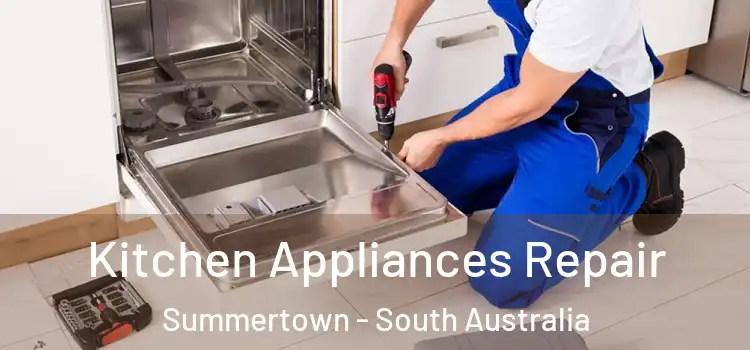 Kitchen Appliances Repair Summertown - South Australia