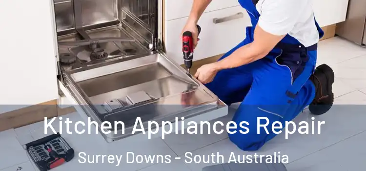 Kitchen Appliances Repair Surrey Downs - South Australia
