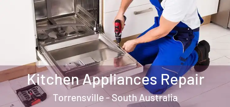 Kitchen Appliances Repair Torrensville - South Australia