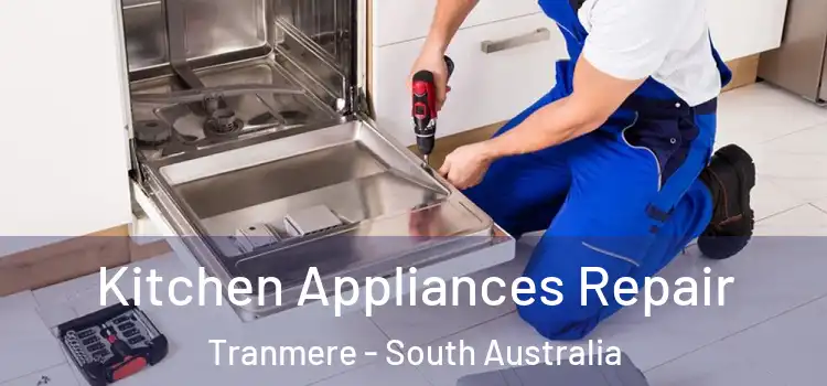 Kitchen Appliances Repair Tranmere - South Australia